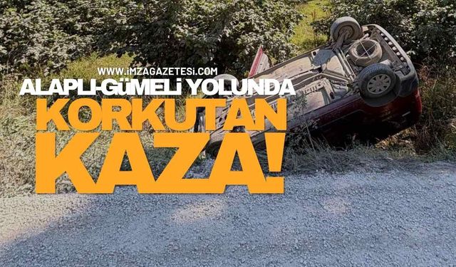 Alaplı-Gümeli Yolunda Korkutan Kaza!
