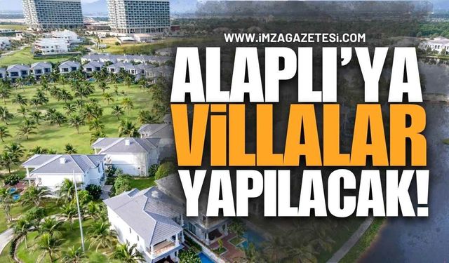 Alaplı'ya Villalar Yapılacak!