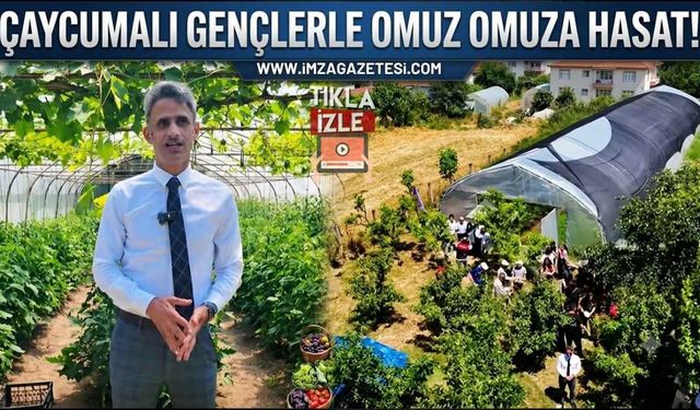 Çaycumalı Gençlerle Omuz Omuza Hasat!