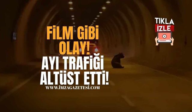 Film Gibi Olay! Karabük’te Tünele Giren Ayı Trafiği Altüst Etti!