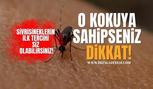 O Kokuya Sahipseniz Dikkat! Sivrisineklerin İlk Tercihi Siz Olabilirsiniz!