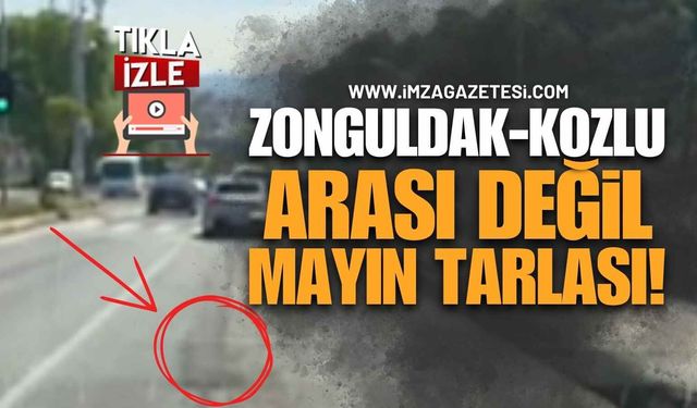 Zonguldak-Kozlu Arası Değil, Mayın Tarlası!