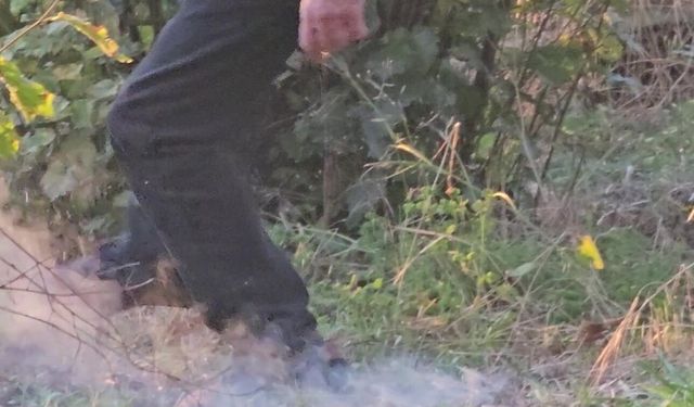 Zonguldak'ta fındık bahçesindeki yangına ilginç müdahale!