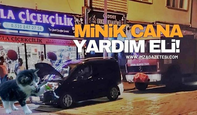 Aracın Motoruna Sıkışan Kedi Kurtarıldı!