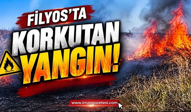 Filyos’ta Korkutan Yangın!