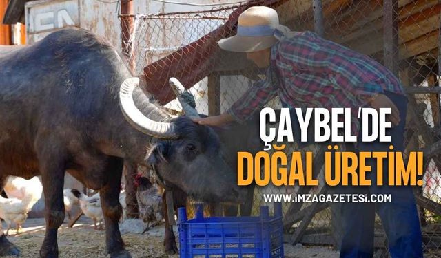 ÇAYBEL’den Doğal Üretim!
