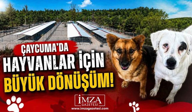 Çaycuma'da Hayvanlar İçin Büyük Dönüşüm!