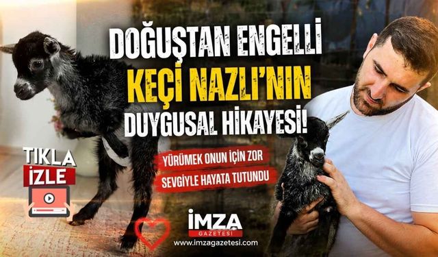 Doğuştan Engelli Keçi Nazlı'nın Duygusal Hikayesi!