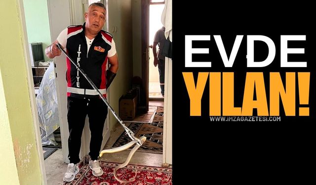 Evde Yılan Paniği! Yakalanan Yılan Bırakıldı! Neden?