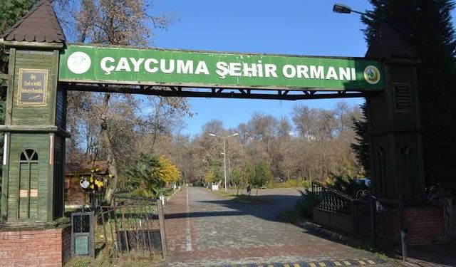 Makinalı Arazi Hazırlığı, Dikenli Tel İhata İşi ve Fidan Dikim İşi hizmet alımı