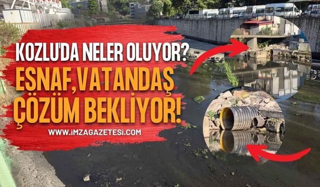 Kozlu'da Neler Oluyor? Esnaf, Vatandaş Çözüm Bekliyor!