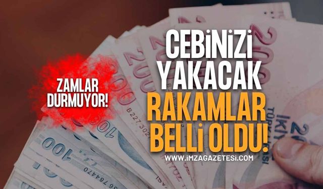 Zamlar Durmuyor! Vatandaşın Kullandığı Hizmetlerde Fiyatlar Yükseldi!