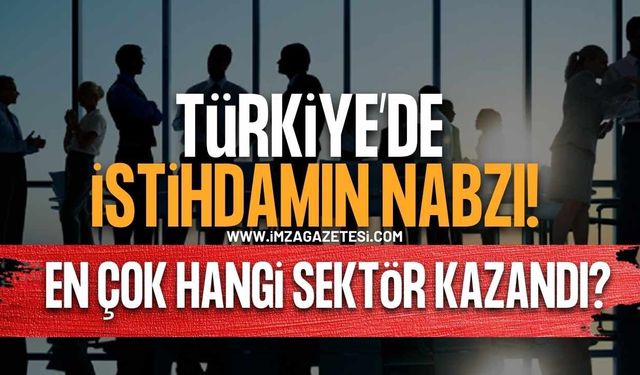 Türkiye'de İstihdamın Nabzı! En Çok Hangi Sektör Kazandı?