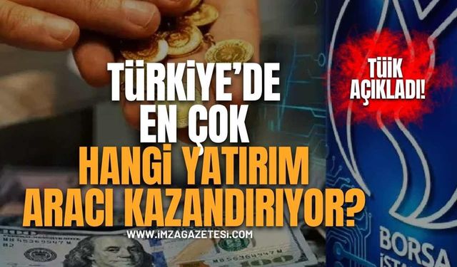 Türkiye'de en çok hangi yatırım aracı kazandırıyor? TÜİK açıkladı!