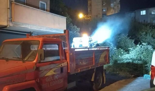 Sineklere Göz Açtırılmıyor!