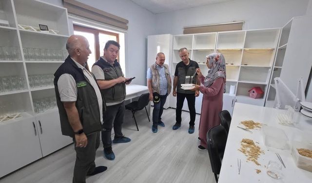 Orman Zararlılarıyla Mücadele Çalışmaları Yerinde İncelendi!
