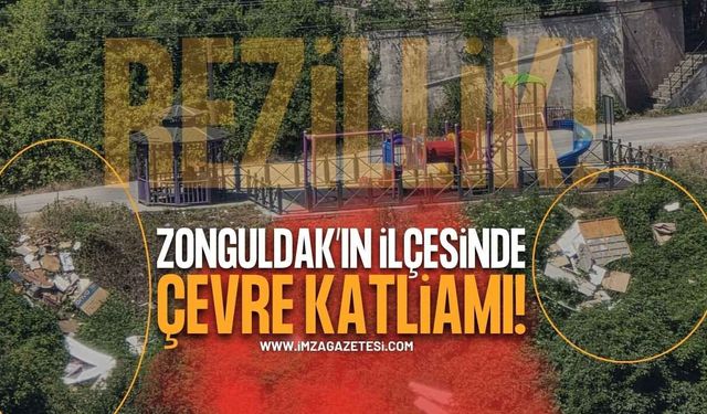 Zonguldak'ın İlçesinde Çevre Katliamı: Bu Ne Rezillik?