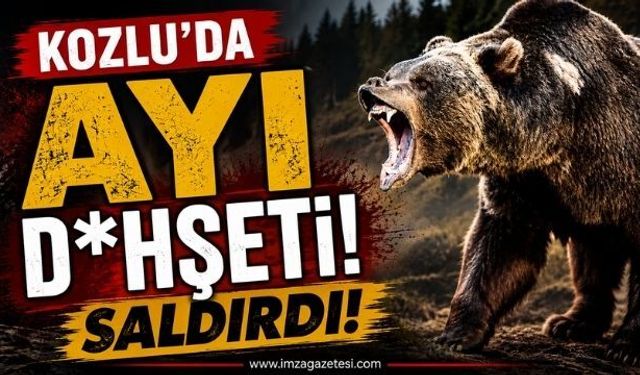Kozlu’da Ayı D*hşeti! Saldırdı!