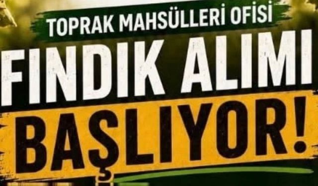 TMO Kdz. Ereğli Ve Alaplı’da Fındık Alımına Başlıyor!