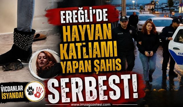 Ereğli'de Hayvan Katliamı Yapan Şahıs Serbest!