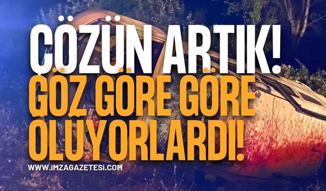 Alman Plakalı Dahil 3 Araç İneğe Çarptı! Çok Sayıda yaralı!