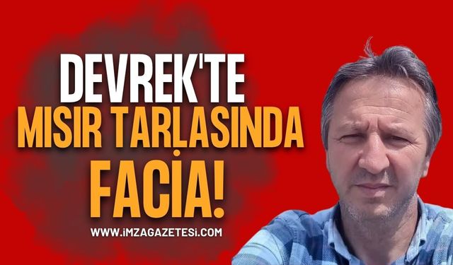 Devrek'te Mısır Tarlasında Facia!