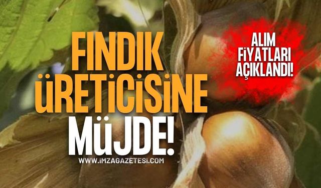 Fındık Üreticisine Müjde! TMO 2026/27 Sezonu Alım Fiyatlarını Açıkladı