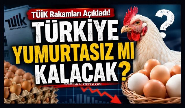 TÜİK Rakamları Açıkladı! Türkiye Yumurtasız Mı Kalacak?