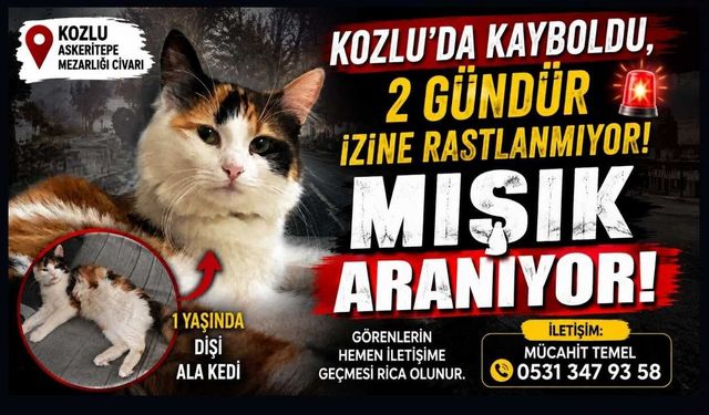 Kozlu’da Kayboldu, 2 Gündür İzine Rastlanmıyor! Mışık Aranıyor!