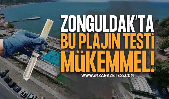 Zonguldak’taki O Plajların Deniz Suyu Kalitesi Mükemmel!