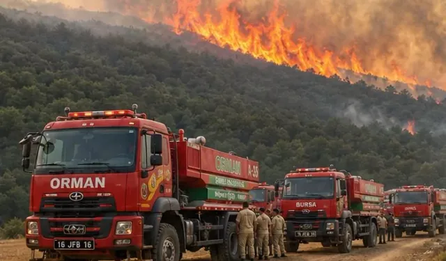 Ormanları Yakanlara Büyük Darbe! 27 İlde Operasyon: 16 Tutuklama
