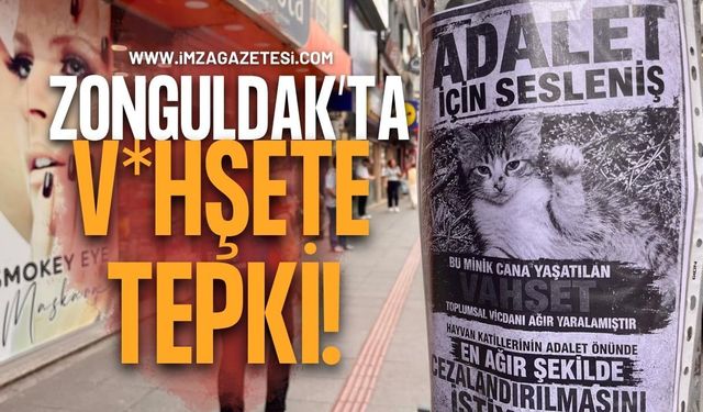 Zonguldak’ta V*hşete Tepki!