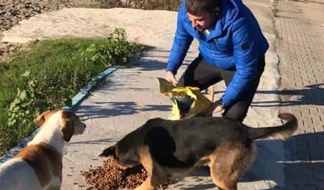 Kazancının yarısını sokak hayvanları için harcıyor