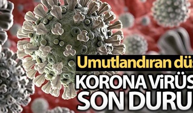 Koronavirüste umutlandıran düşüş...