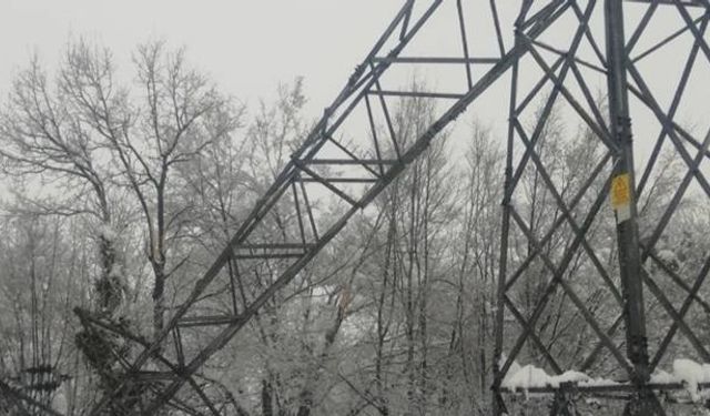 Elektrik direkleri devrildi, köylerde elektrik kesintileri yaşandı...