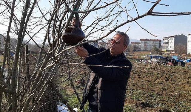 Yetiştirdiği süs kabaklarından kuşlara yuva yaptı...