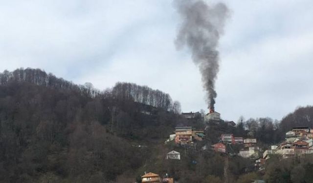 Son dakika! Kozlu'da yangın...