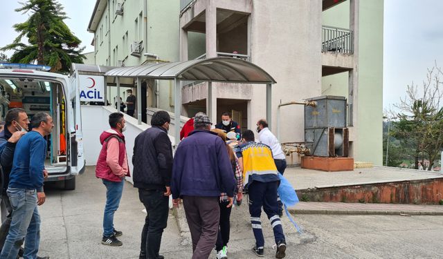 Üzerine tomruk düşen 17 yaşındaki genç hayatını kaybetti