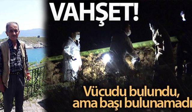 Çaycuma'daki Vahşi cinayette son durum!