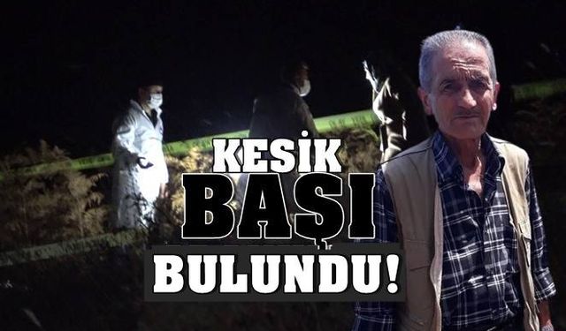 Son Dakika! Zonguldak'taki 'Kesik baş' cinayetinde önemli gelişme! Kesik baş bulundu...