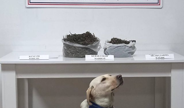 Uyuşturucu madde arama köpeği Diyar yakaladı!