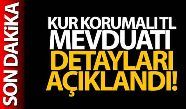 Dövize endeksli TL mevduat düzenlemesinin ayrıntıları açıklandı