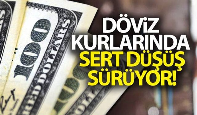 Dolar ne kadar oldu? Döviz kurlarında son durum!