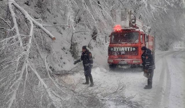 İtfaiye kardan yola devrilen ağaçları kesti...