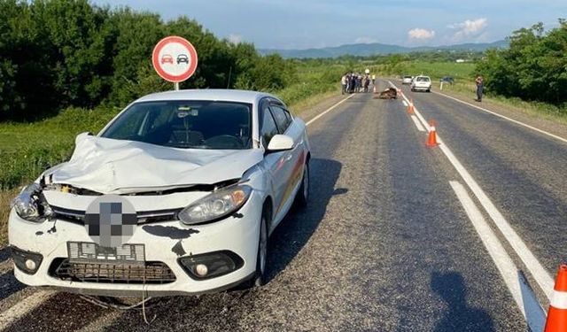 Aniden otomobilin önüne çıkan inek telef oldu...