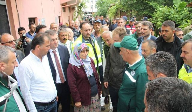 Bakan Kirişçi, Gökçebey ve Devrek'te incelemelerde bulundu