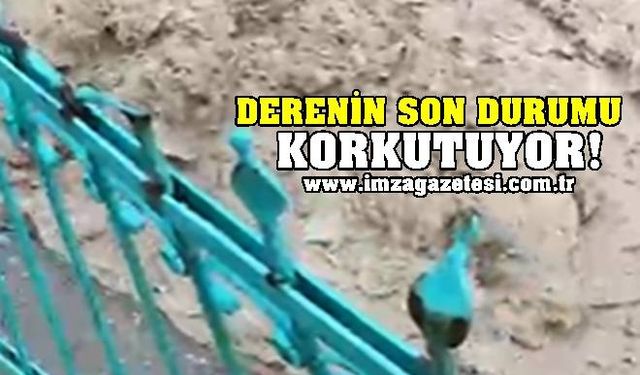 Gökçebey'de derenin son durumu korkutuyor! Polis uyarıyor...