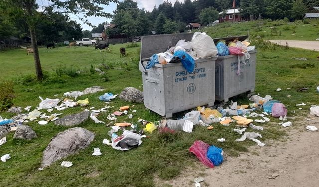 İnsanlar buraya gezmeye geliyorlar, doğaya elindeki çöpü bırakıp gidiyor...