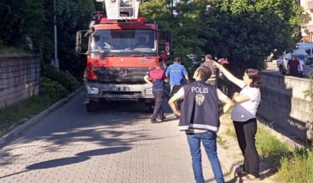 Zonguldak'ta düdüklü tencere mahalleliyi korkuttu...