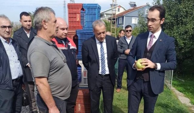 Çaycuma'da ‘Deveci Armudu Hasat Şenliği’ gerçekleşti...